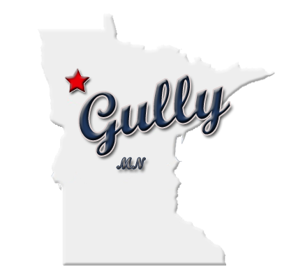 Gully MN Website Logo by CPNet-works.com